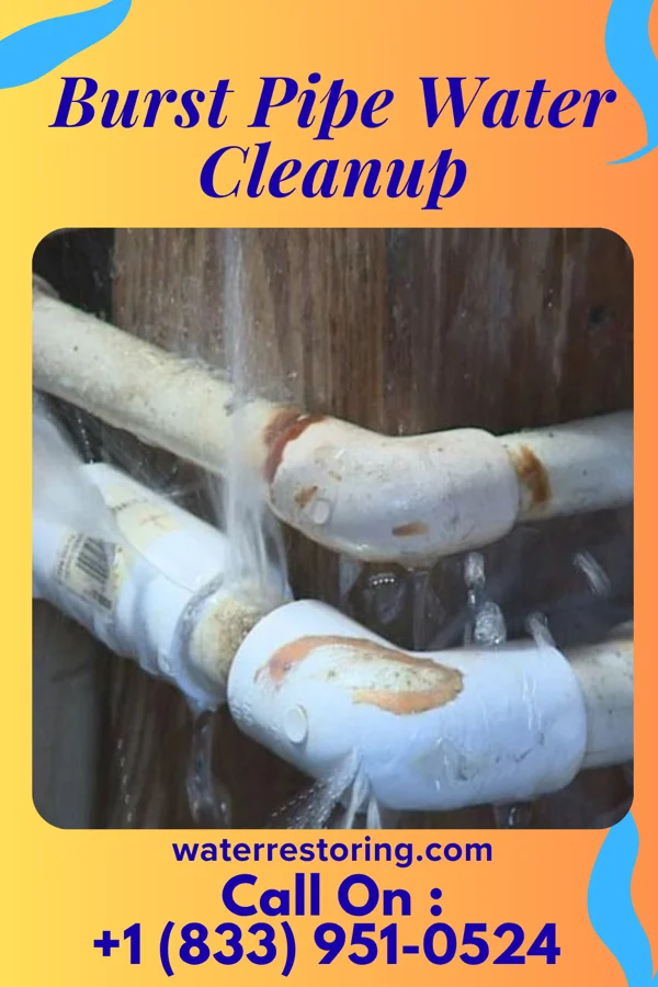Burst Pipe Water Cleanup in Flatwoods, KY