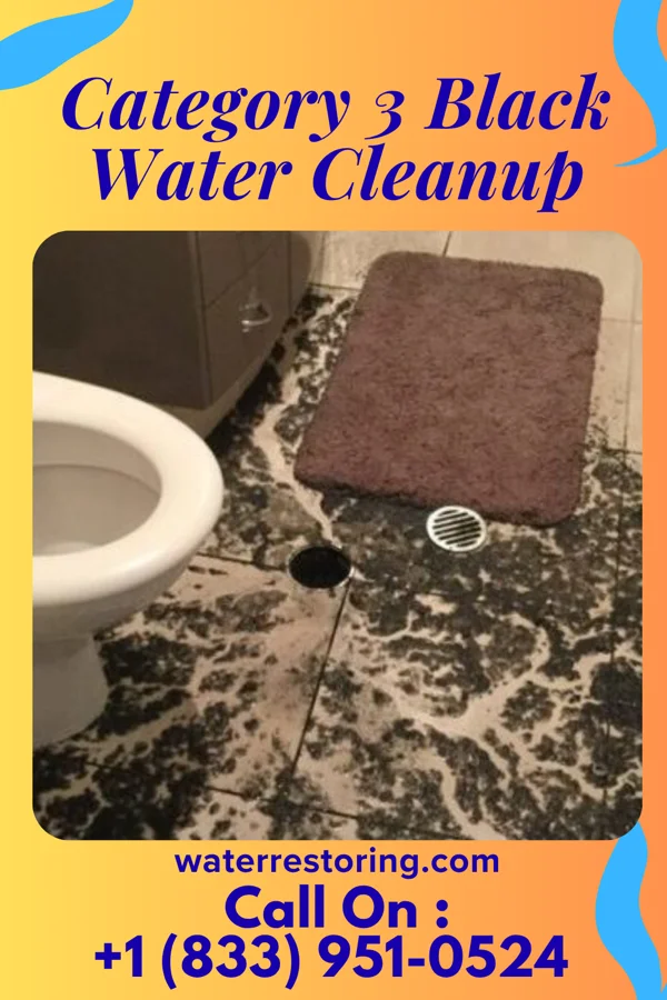 Category 3 Black Water Cleanup in Flatwoods, KY