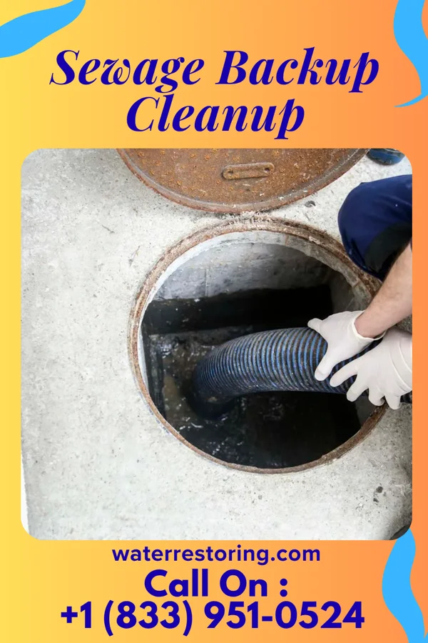 Sewage Backup Cleanup in Flatwoods, KY