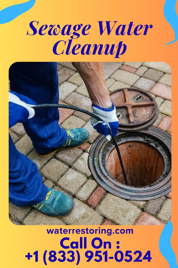 Sewage Water Cleanup in Flatwoods, KY