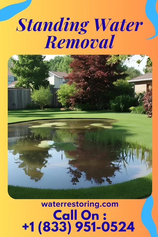 Standing Water Removal in Flatwoods, KY